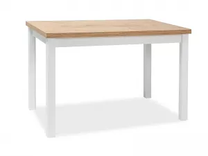 ADAM jedálenský stôl 100x60 cm, dub Lancelot /biely matný