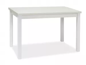 ADAM jedálenský stôl 100x60 cm, biela matná