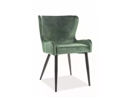 PASSO II, jedlensk stolika, zelen, ierna